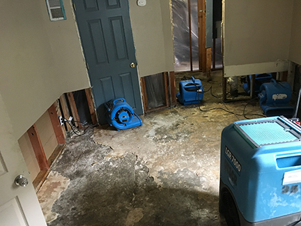 Sewage backup