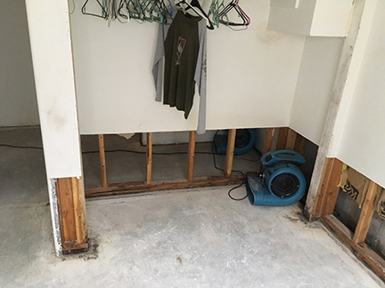 Sewage backup