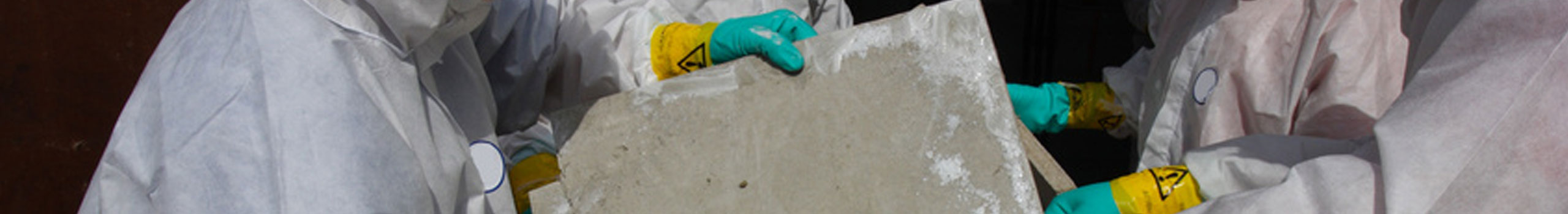 Putting Moldy Drywall in garbage